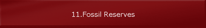 11.Fossil Reserves