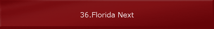 36.Florida Next